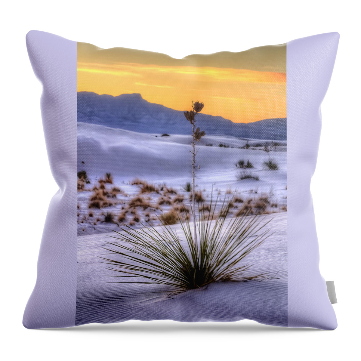 Colorado Throw Pillow featuring the photograph Yucca on White Sand by Kristal Kraft