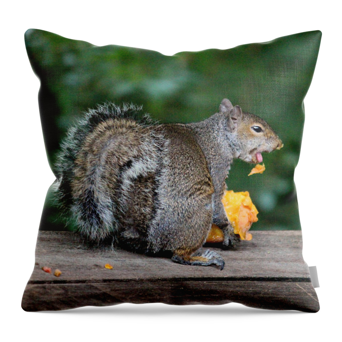 Mammals Throw Pillow featuring the photograph Yuk I hate peach fuzz by Kym Backland