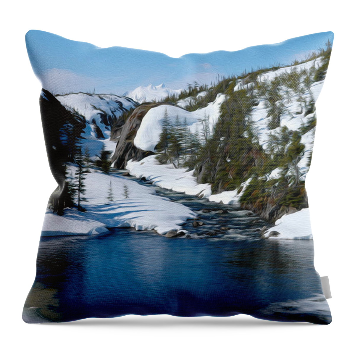 Alaska Throw Pillow featuring the photograph Yukon view by Tracy Winter