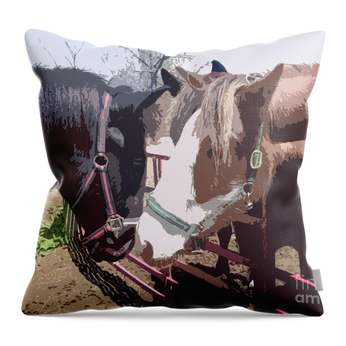 Horses Throw Pillow featuring the photograph Zach meets Connor draft horse colts meeting by Conni Schaftenaar