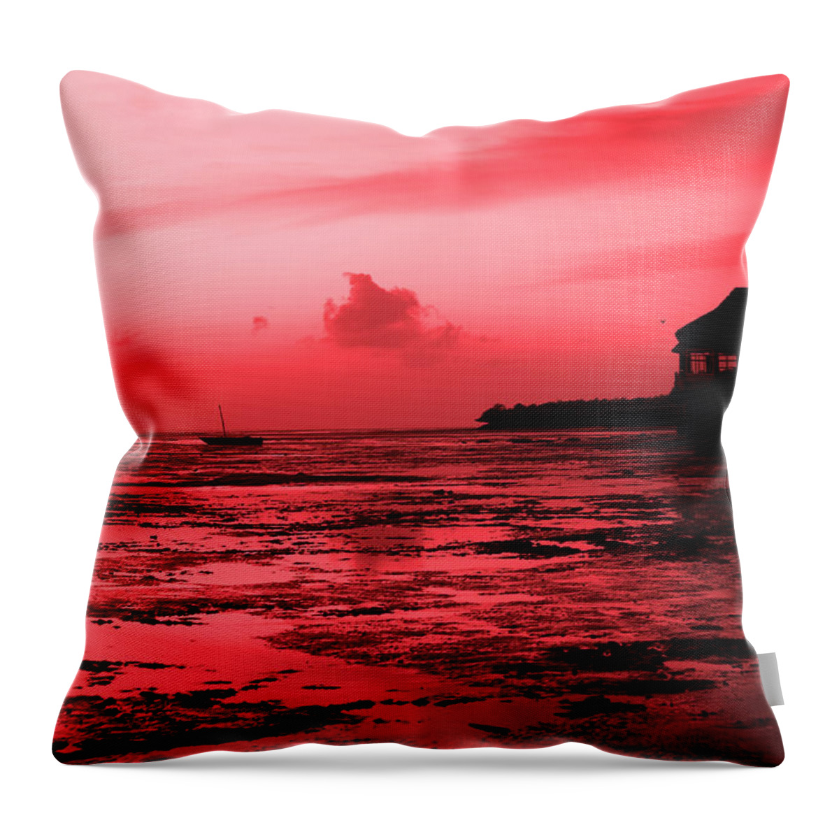 Africa Throw Pillow featuring the photograph Zanzibar Sunrise by Aidan Moran