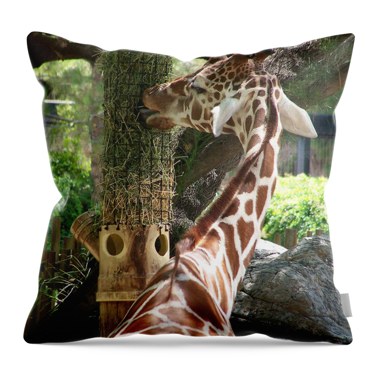 Animal Prints Throw Pillow featuring the photograph Zara 1 by Jewels Hamrick