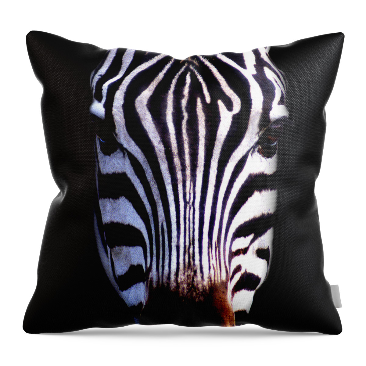 Zebra Throw Pillow featuring the photograph ZEB by Skip Willits