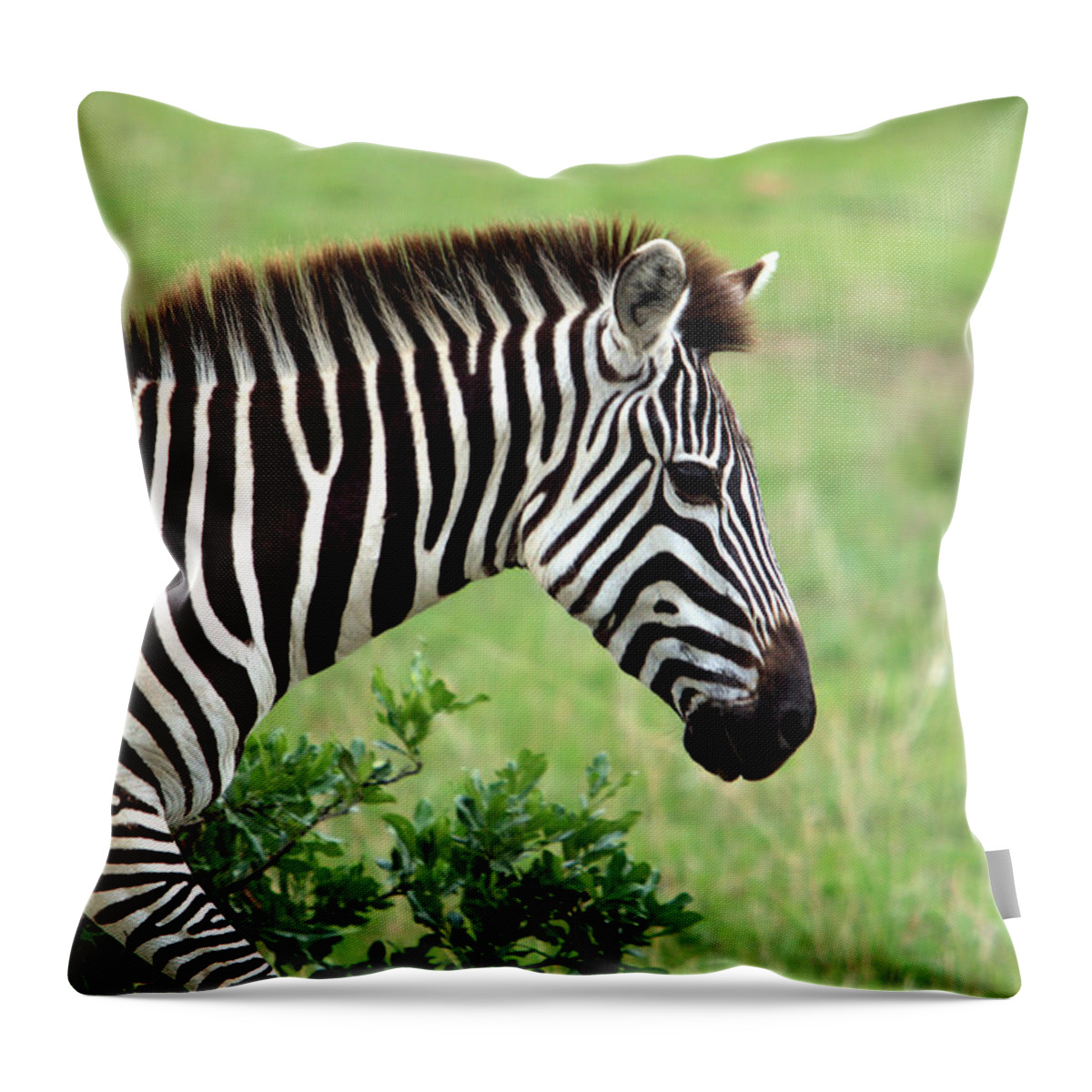 Zebra Throw Pillow featuring the photograph Zebra by Aidan Moran