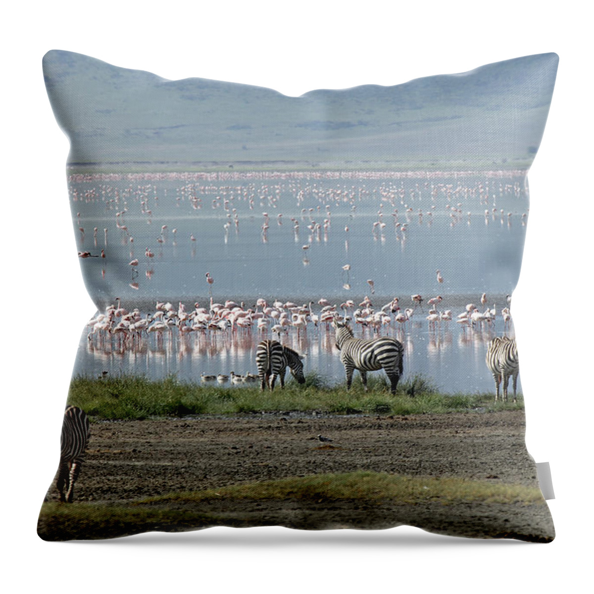 Zebra Throw Pillow featuring the photograph Zebra and Flamingo by Tony Murtagh