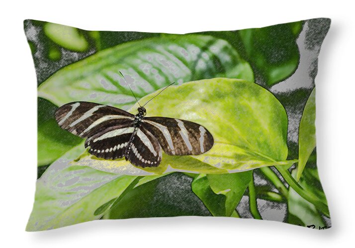 Butterfly Throw Pillow featuring the photograph Zebra Heliconia Butterfly by Deborah Ritch