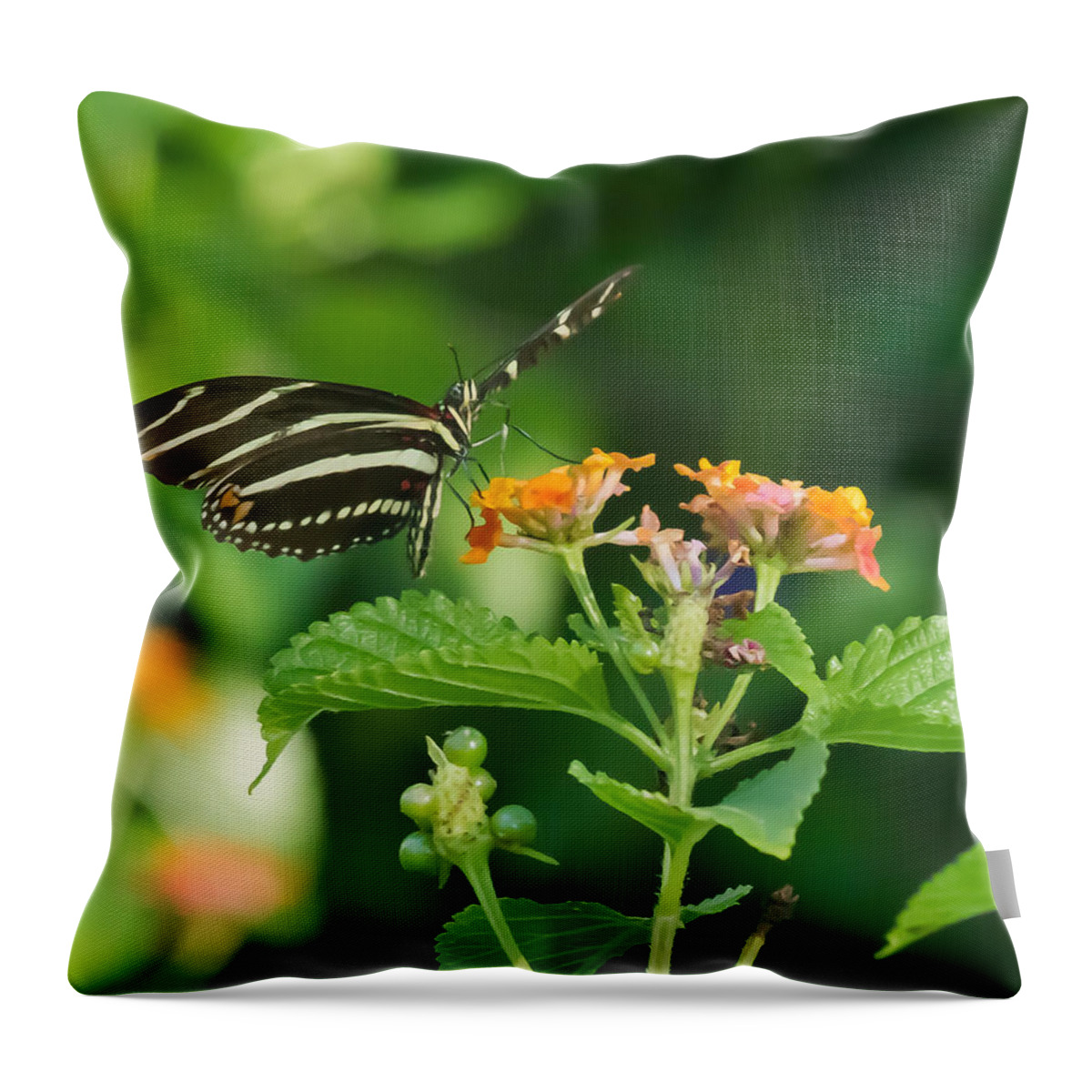 Florida Throw Pillow featuring the photograph Zebra Longwing by Jane Luxton