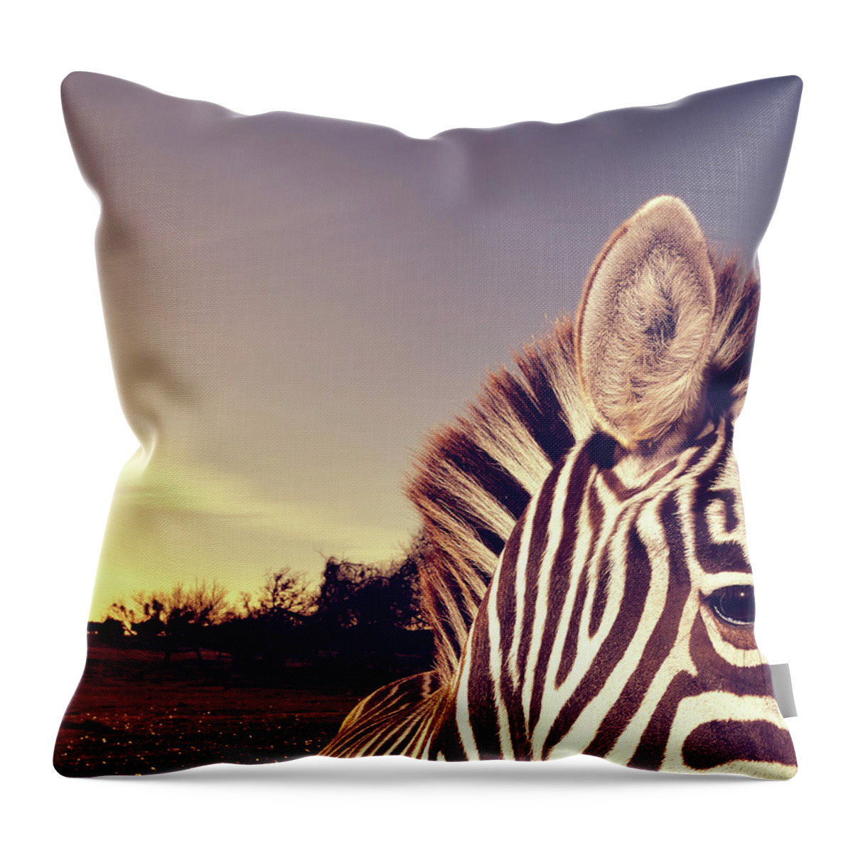 Animal Themes Throw Pillow featuring the photograph Zebra Sunset by Flashbax Twenty Three Photography