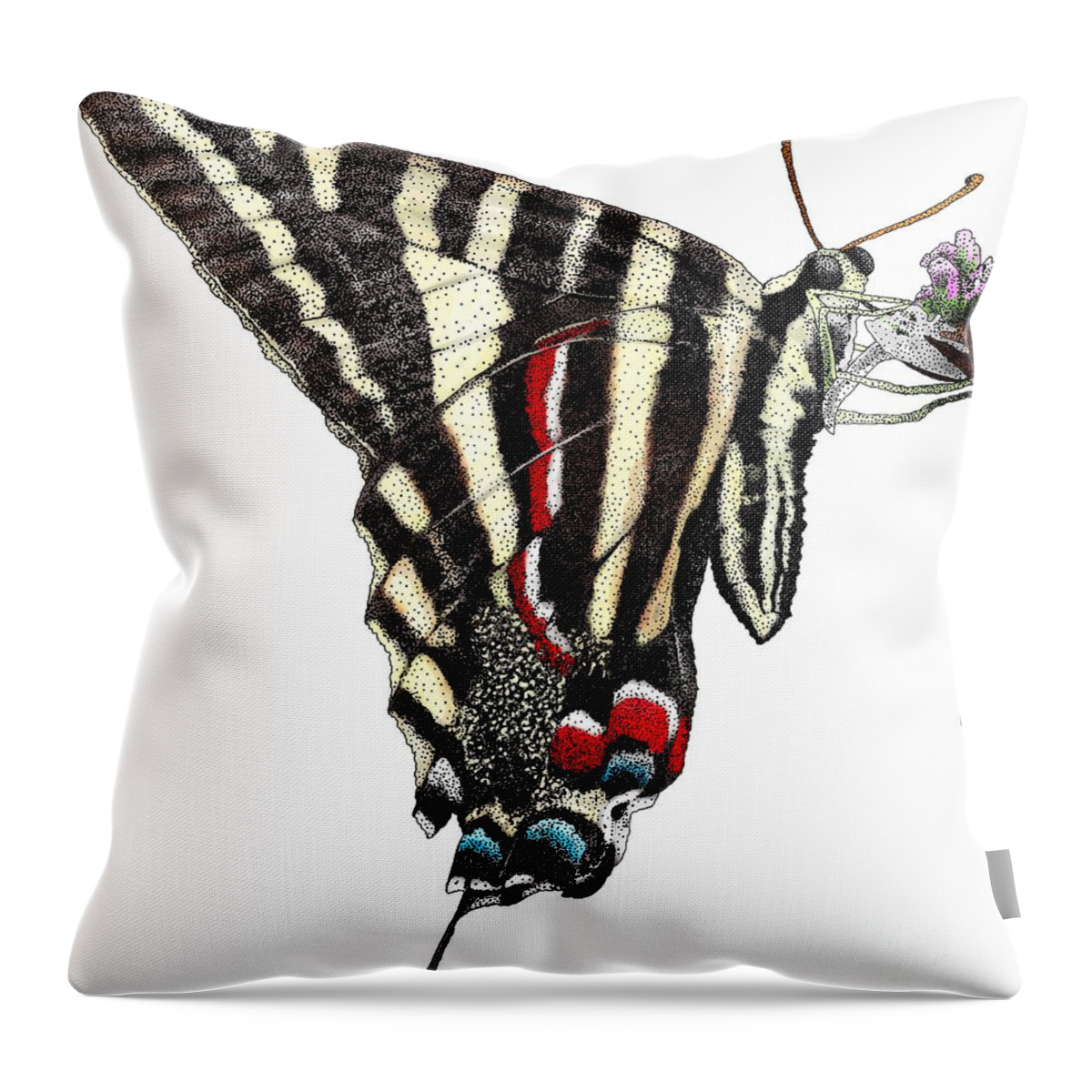 Zebra Swallowtail Butterfly Throw Pillow featuring the photograph Zebra Swallowtail Butterfly by Roger Hall