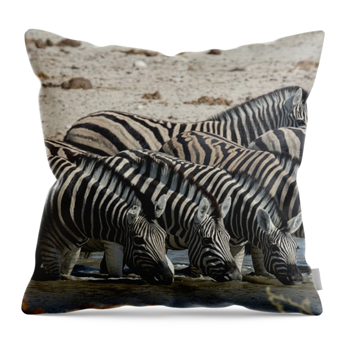 Panoramic Throw Pillow featuring the photograph Zebras At The Waterhole by Radu Zaciu