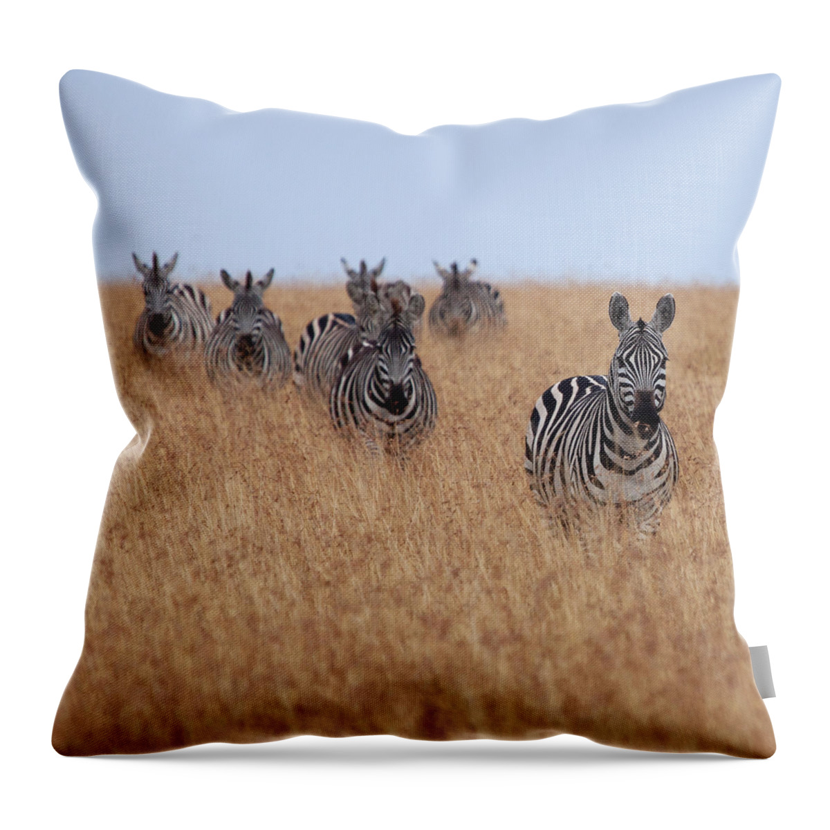 Kenya Throw Pillow featuring the photograph Zebras by Photo By Roger Cave