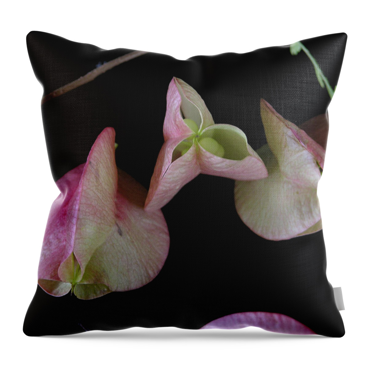 Delicate Throw Pillow featuring the photograph Zen of Nature I by Julianne Felton