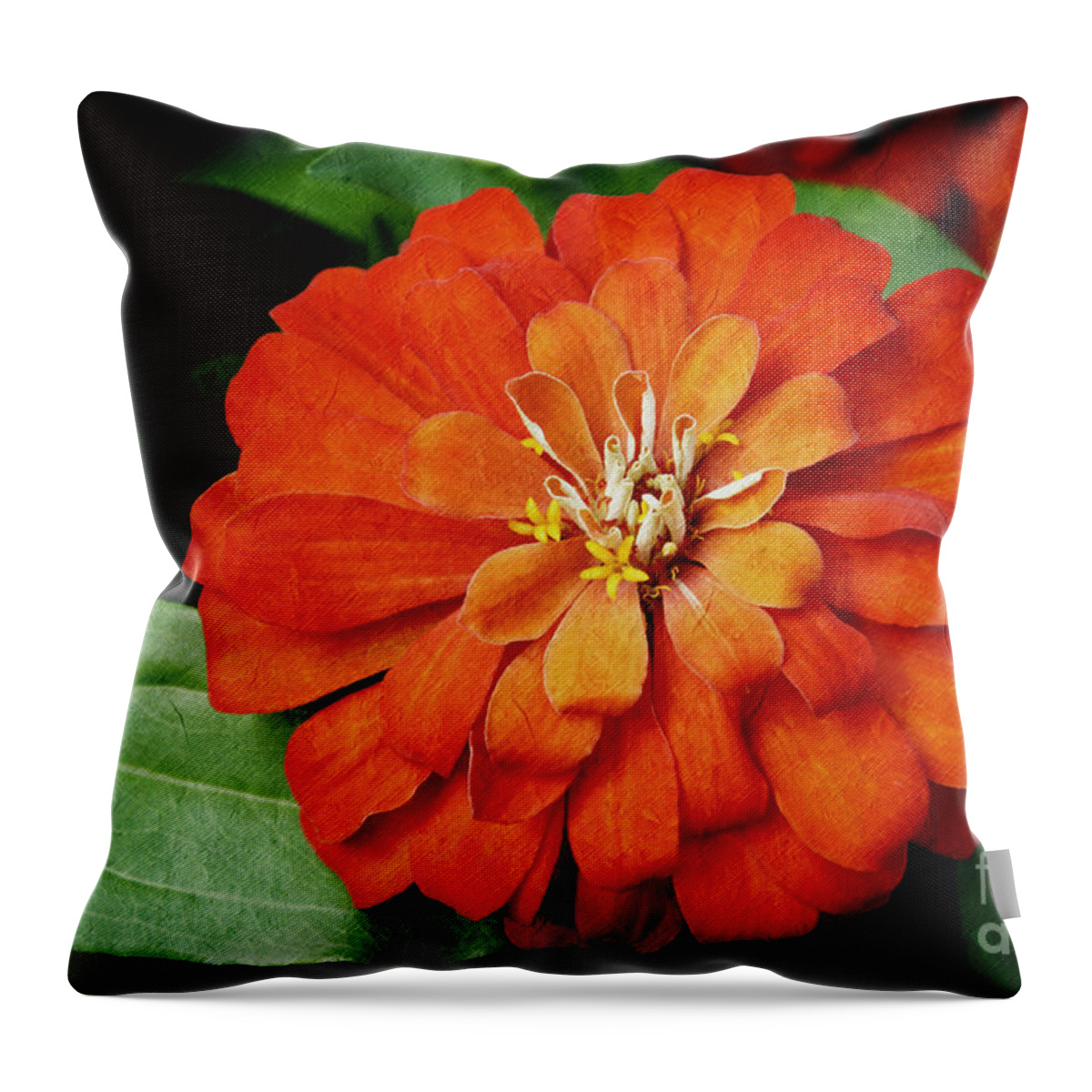 Flower Throw Pillow featuring the photograph Zinnia by Andee Design