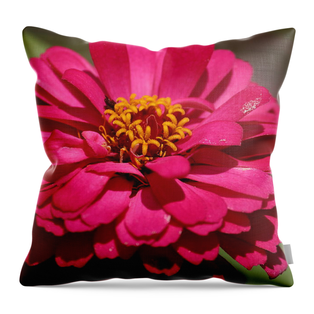 Flower Photographs Throw Pillow featuring the photograph Zinnia by Ester McGuire