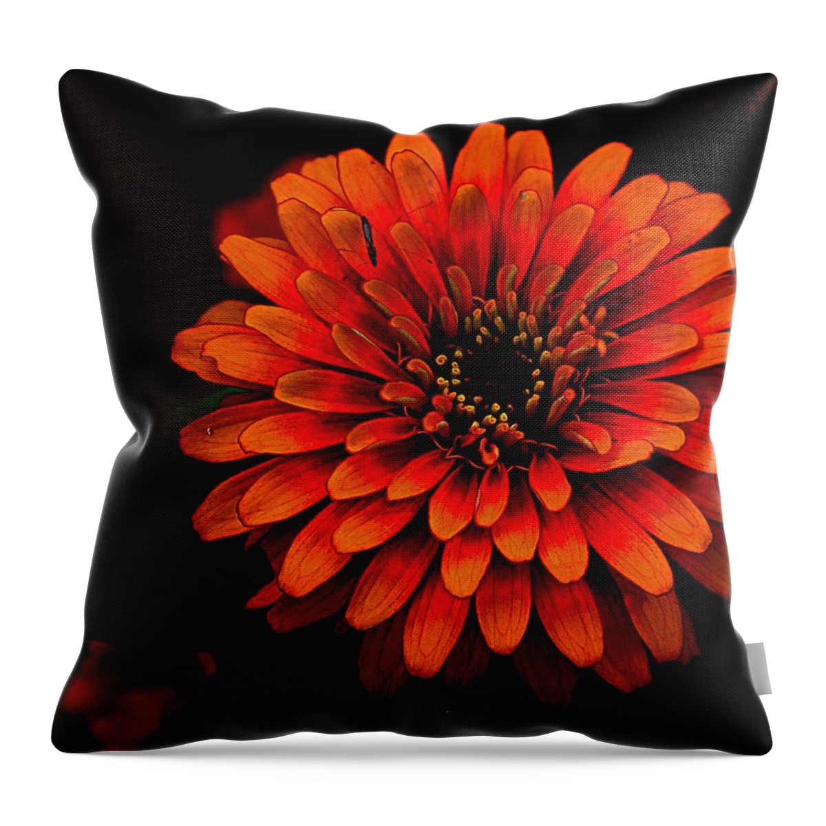 Orange Flower Throw Pillow featuring the photograph Zinnia Pop by Karen McKenzie McAdoo