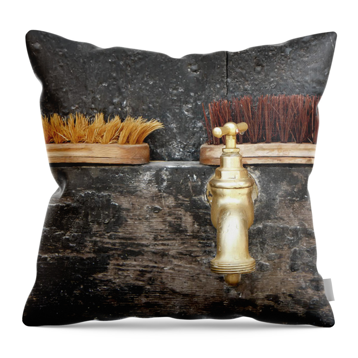 Kg Throw Pillow featuring the photograph Zuiderzee Brushes by KG Thienemann