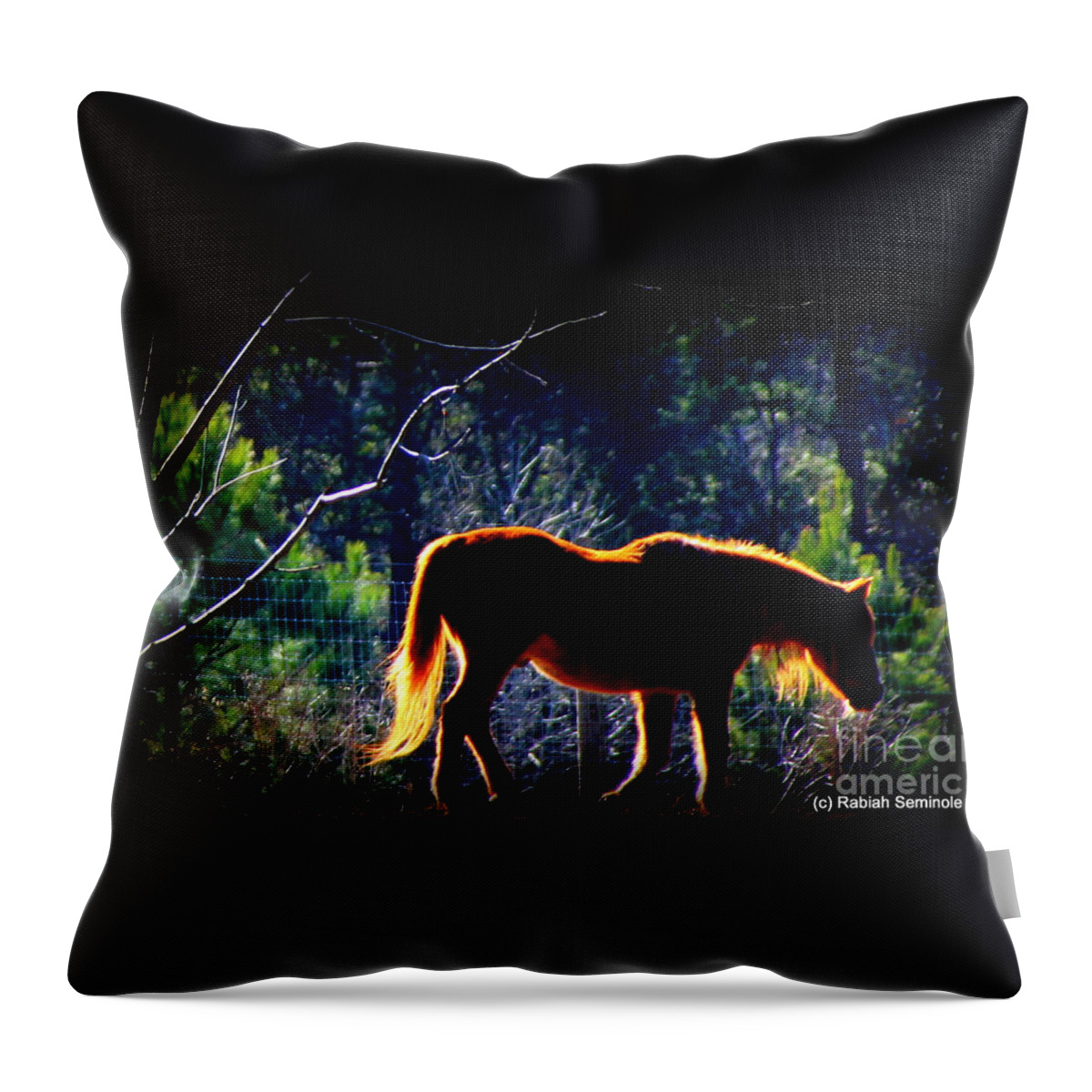 Horses Throw Pillow featuring the photograph Zuni In The Sunlight by Rabiah Seminole