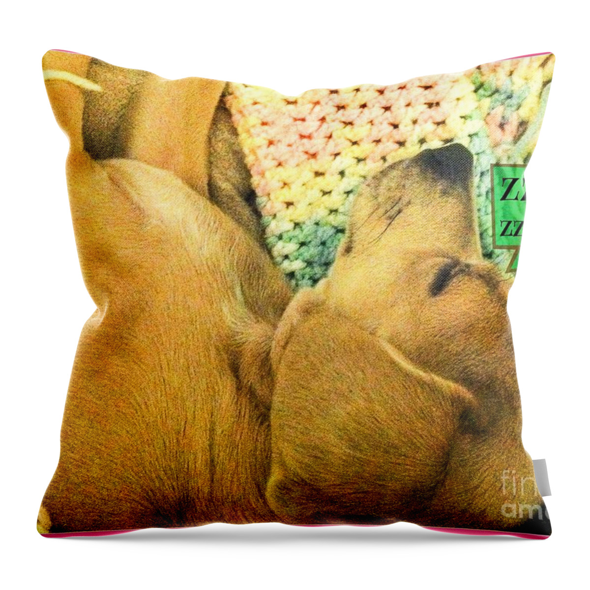 Princess Betty Biscuits Throw Pillow featuring the photograph ZZZzzzz..... by Angela J Wright
