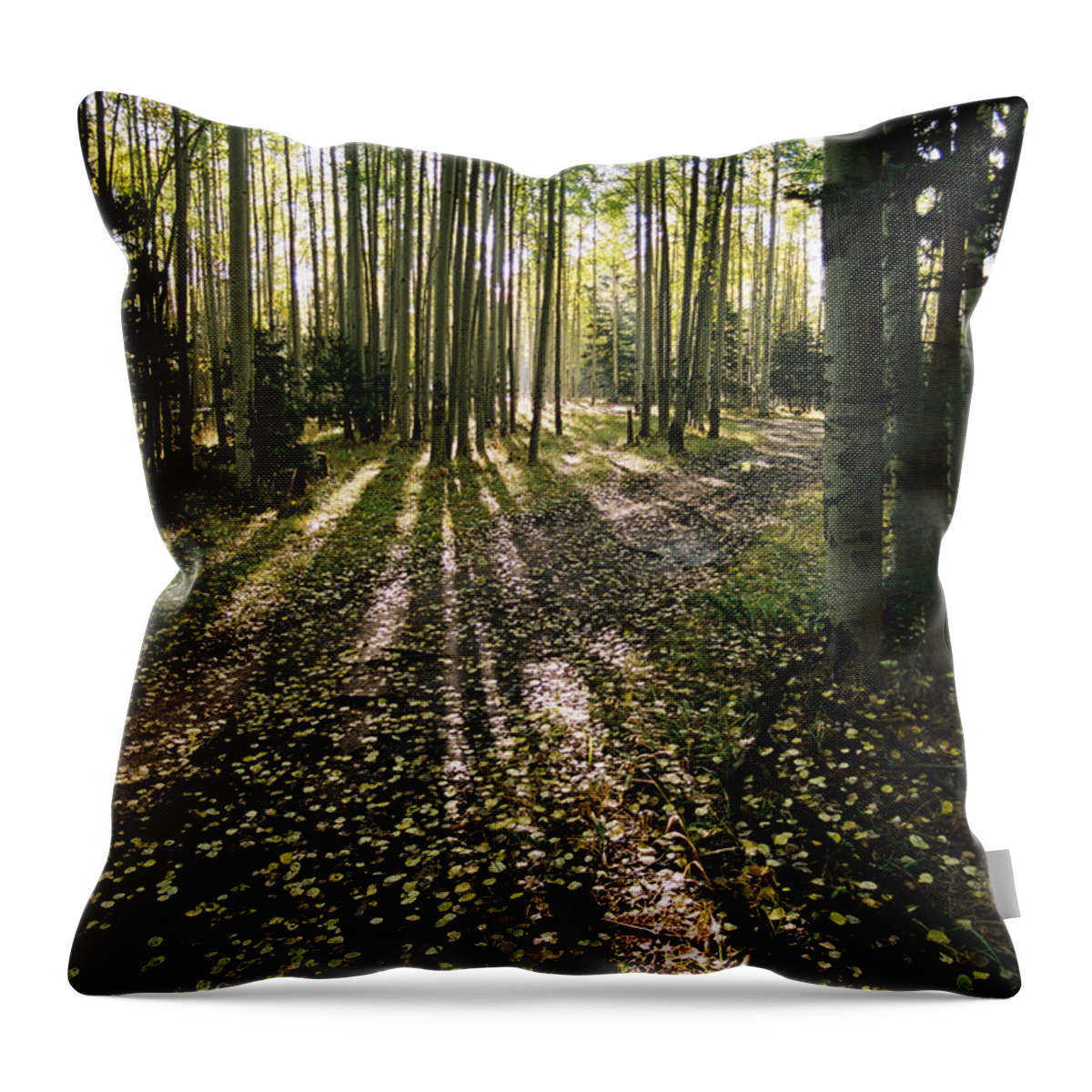 Red River Throw Pillow featuring the photograph Aspen Grove On Old Red River Pass by Ron Weathers
