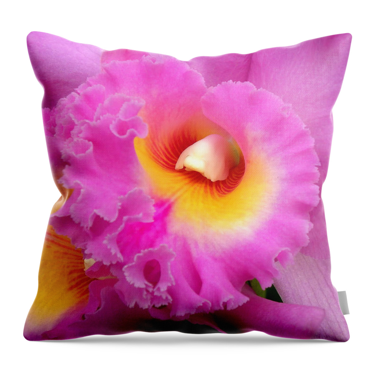 Orchid Throw Pillow featuring the photograph Cattleya Orchid 1 by Julie Palencia