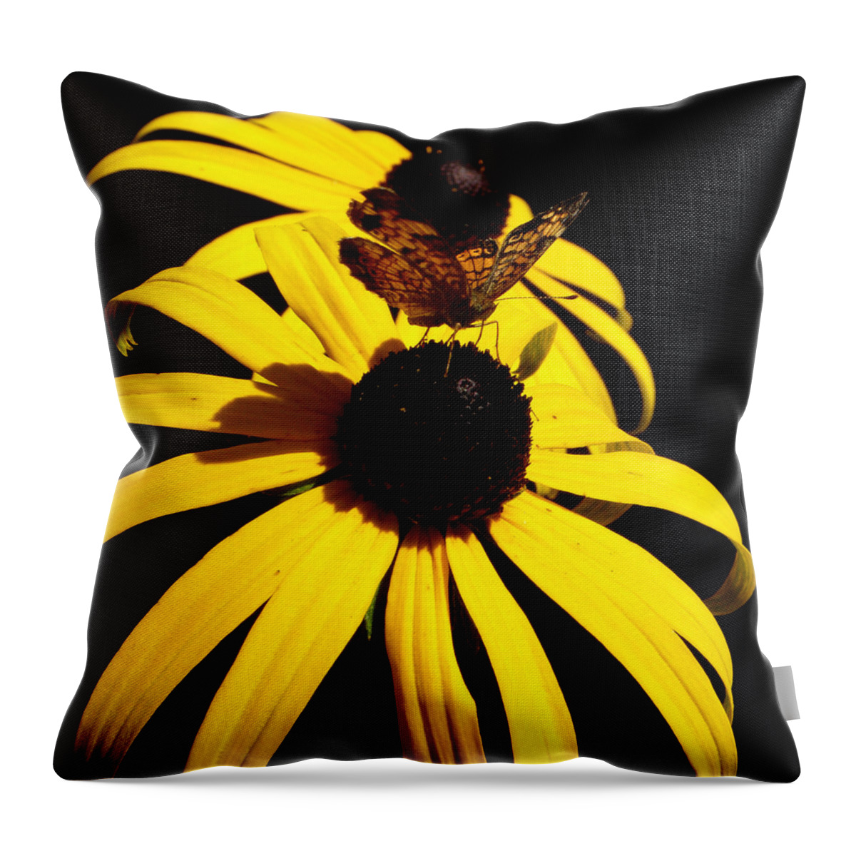 Butterfly Throw Pillow featuring the photograph Frantilly Butterfly On A Black Eyed Susan by Kim Galluzzo