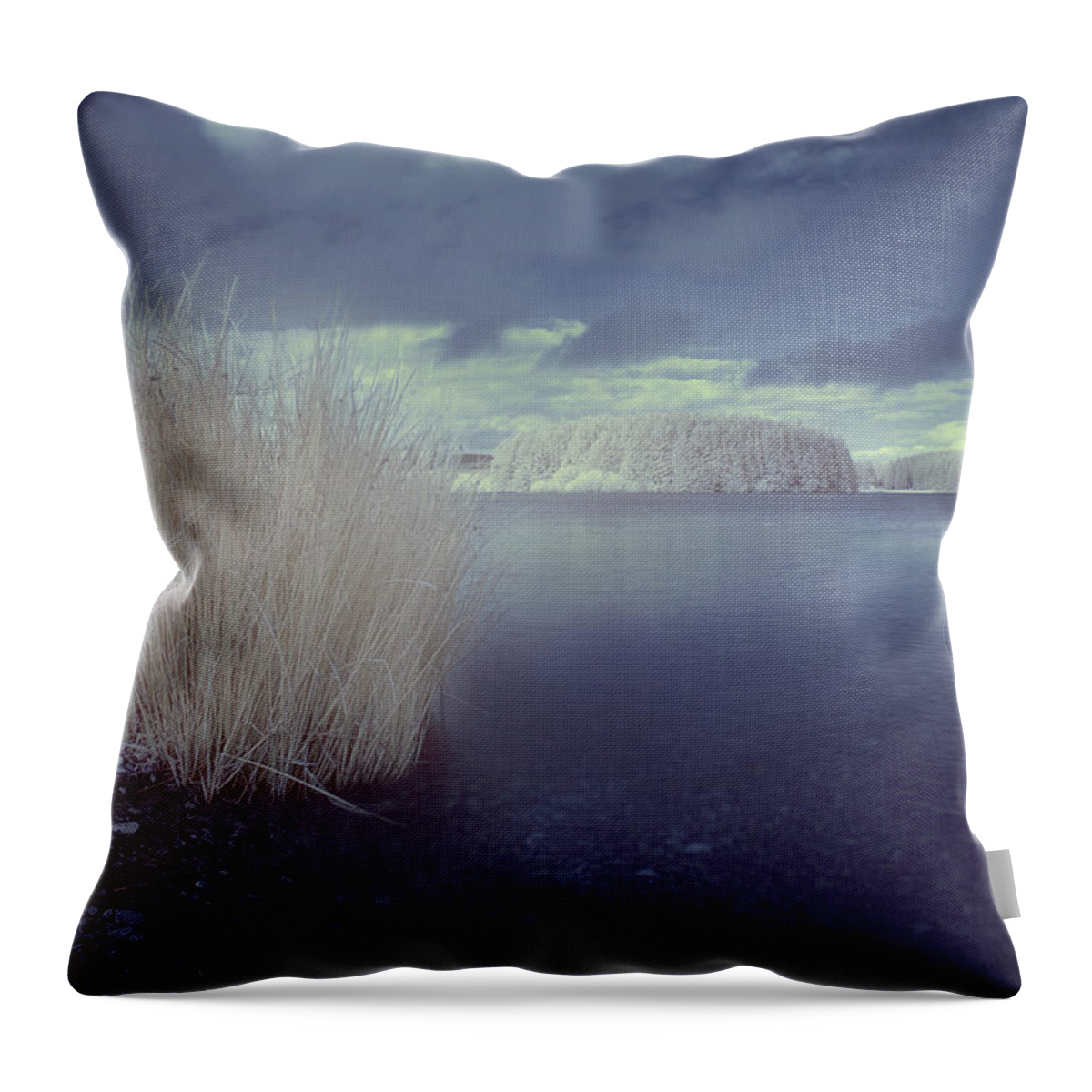 Mono Throw Pillow featuring the photograph Infrared at Llyn Brenig by B Cash