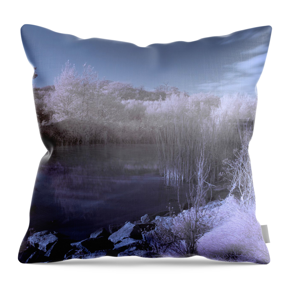 Mono Throw Pillow featuring the photograph Infrared pond by B Cash