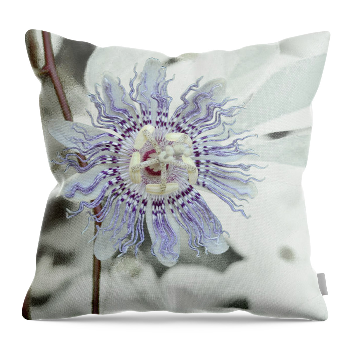 Flower Throw Pillow featuring the photograph Passion Flower On White by Tom Wurl