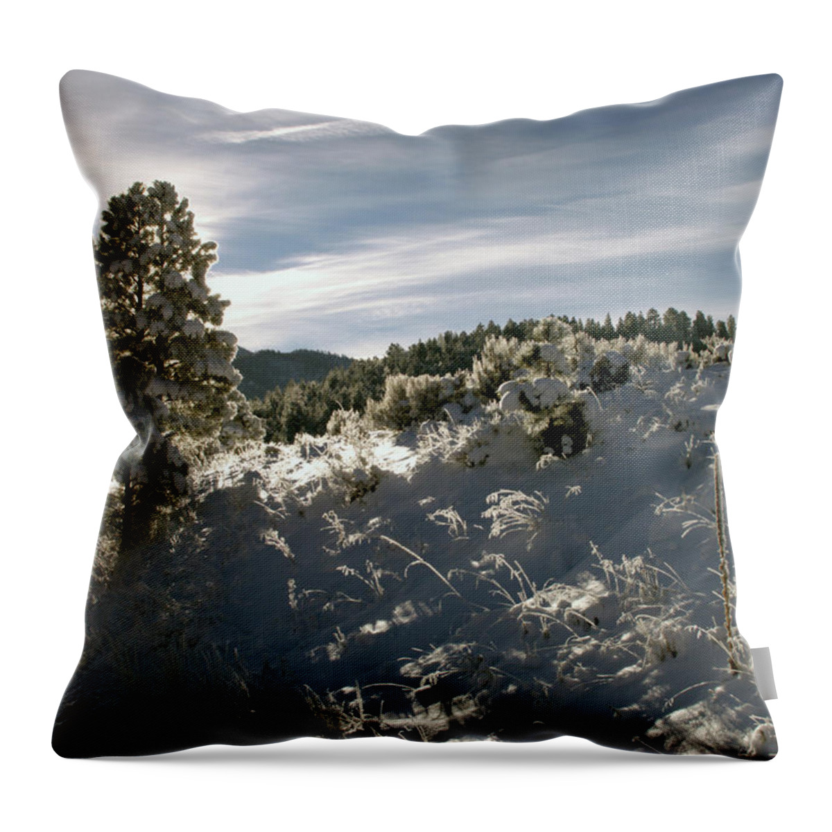 Eagle Nest Throw Pillow featuring the photograph Sunrise On Frosted Hill by Ron Weathers