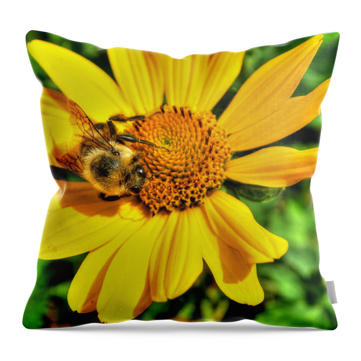  Throw Pillow featuring the photograph 003 Busy Bee Series by Michael Frank Jr