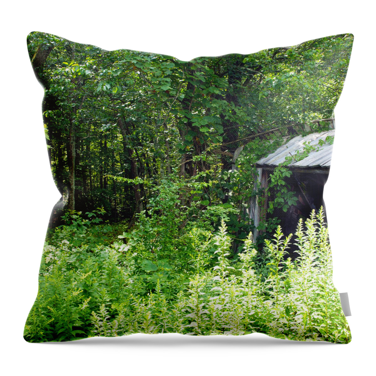 Farm Animals Throw Pillow featuring the photograph A Broken Down Farm Building #1 by Robert Margetts