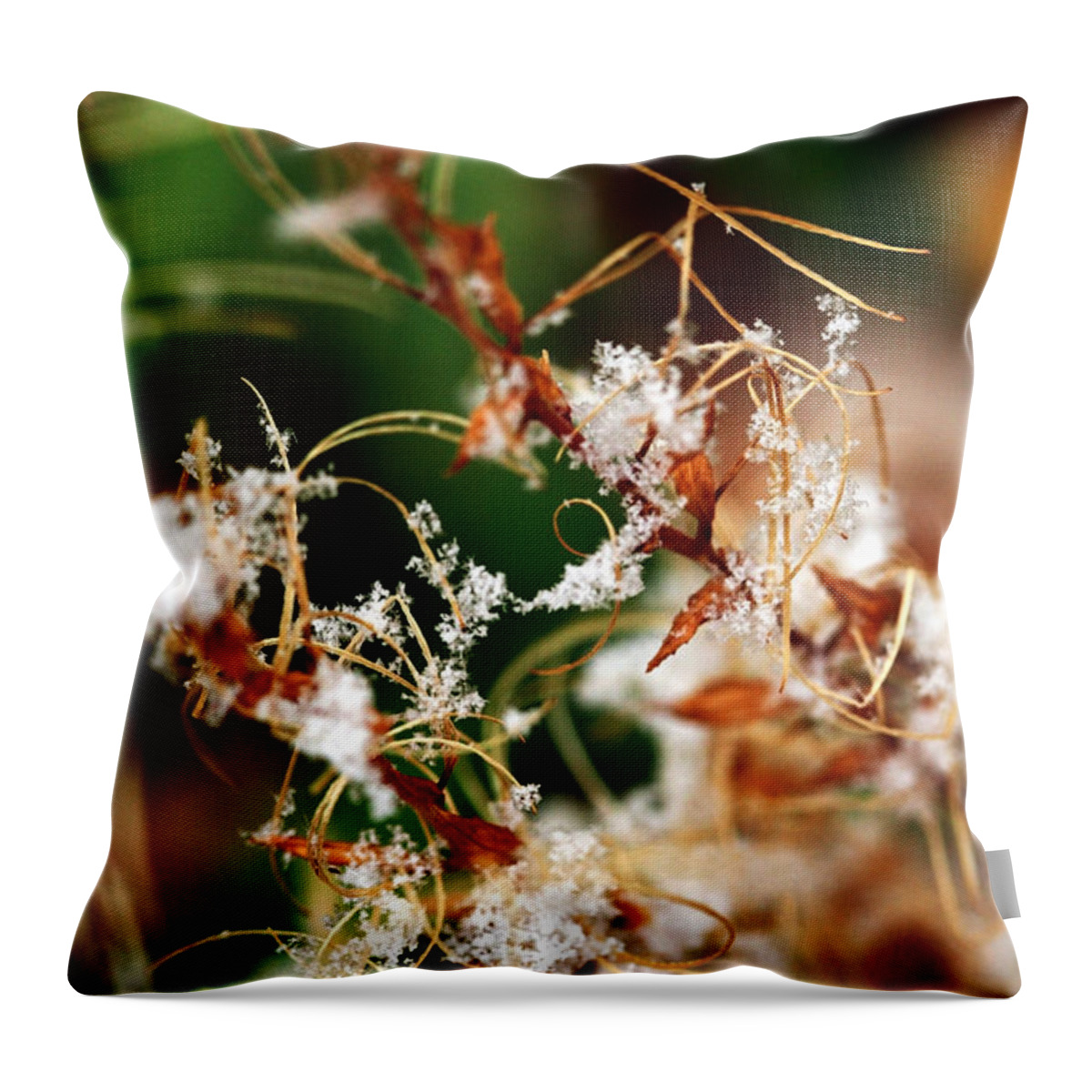 Abstract Throw Pillow featuring the photograph Abstract and Ice Crystals #1 by Marilyn Hunt