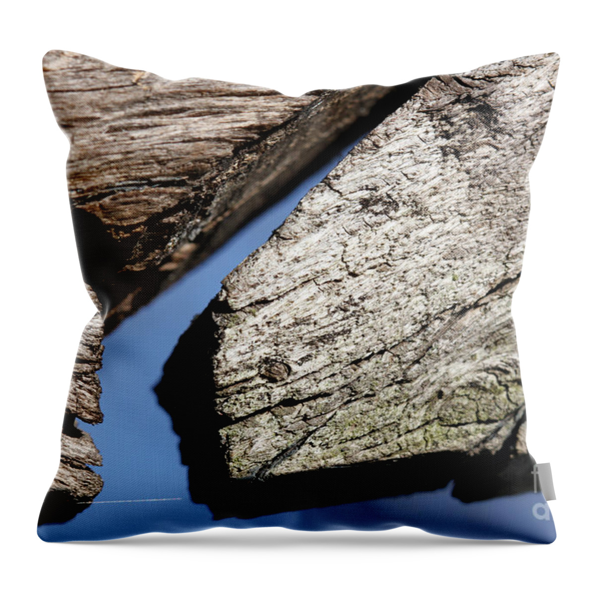 Abstract Throw Pillow featuring the photograph Abstract With Angles #1 by Todd Blanchard