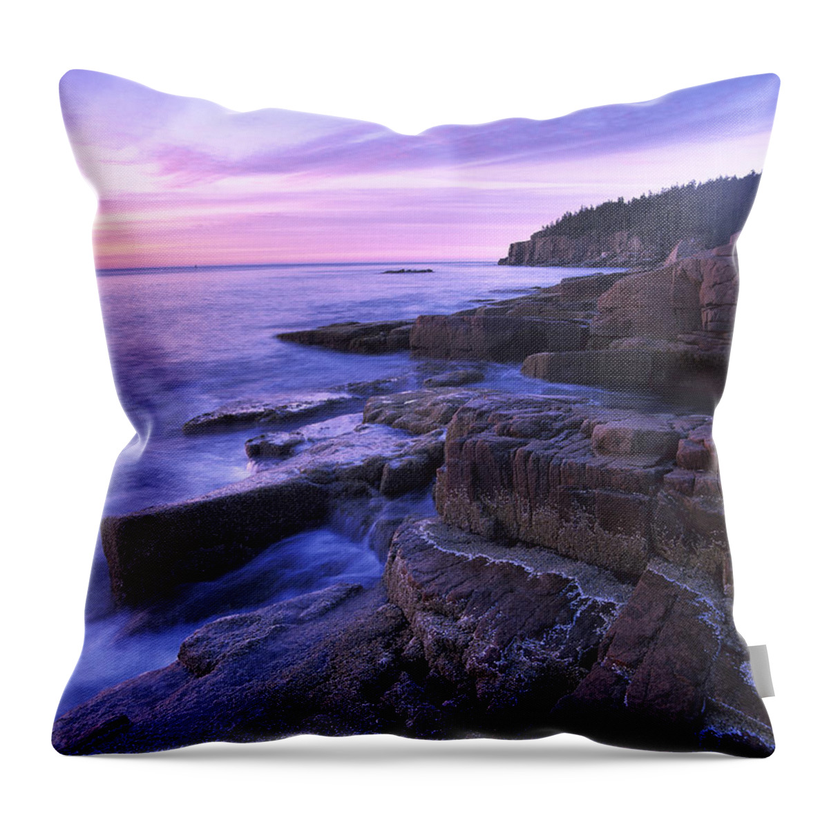 00173700 Throw Pillow featuring the photograph Atlantic Coast Near Thunder Hole Acadia #1 by Tim Fitzharris