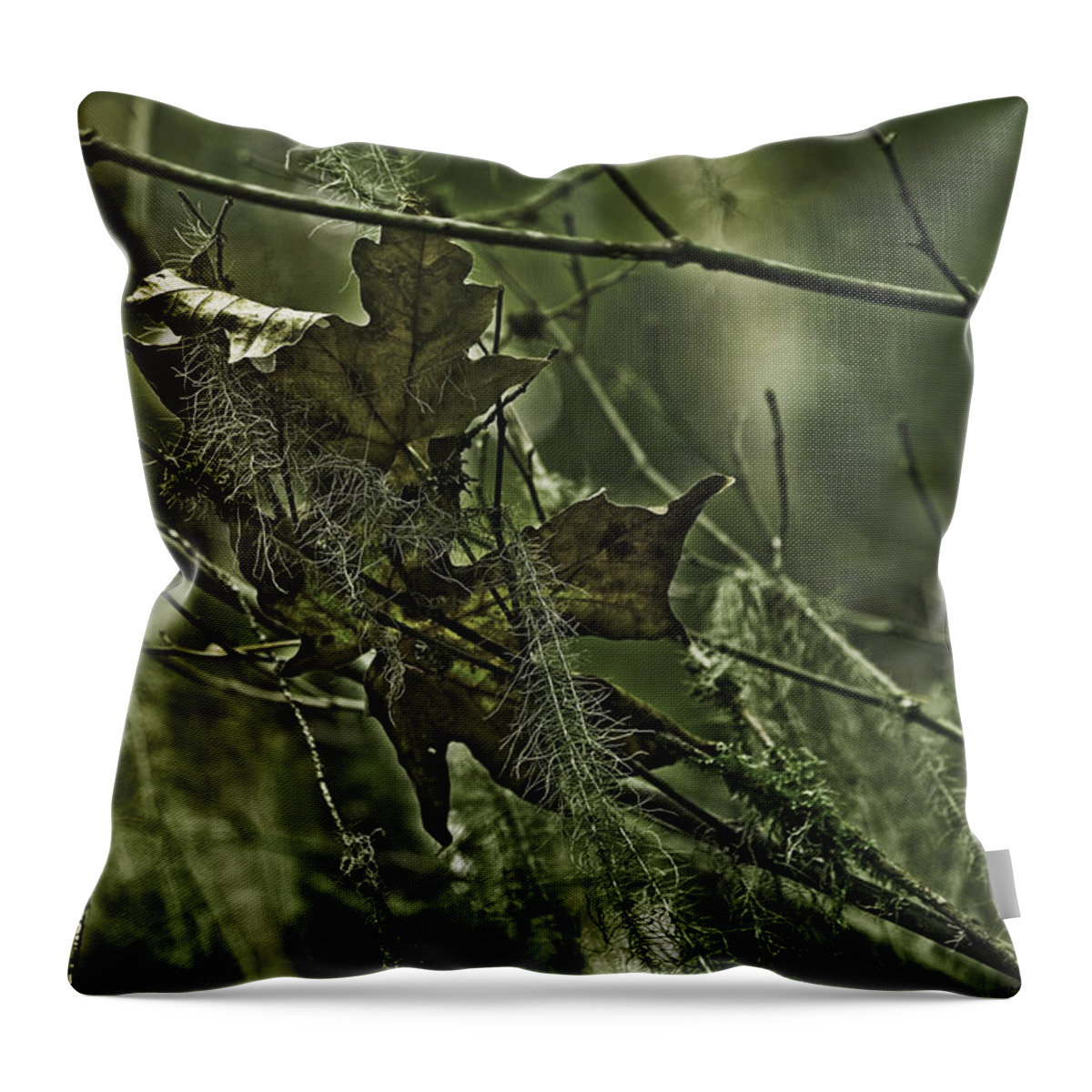 Leaves Throw Pillow featuring the photograph Attached #1 by Bonnie Bruno