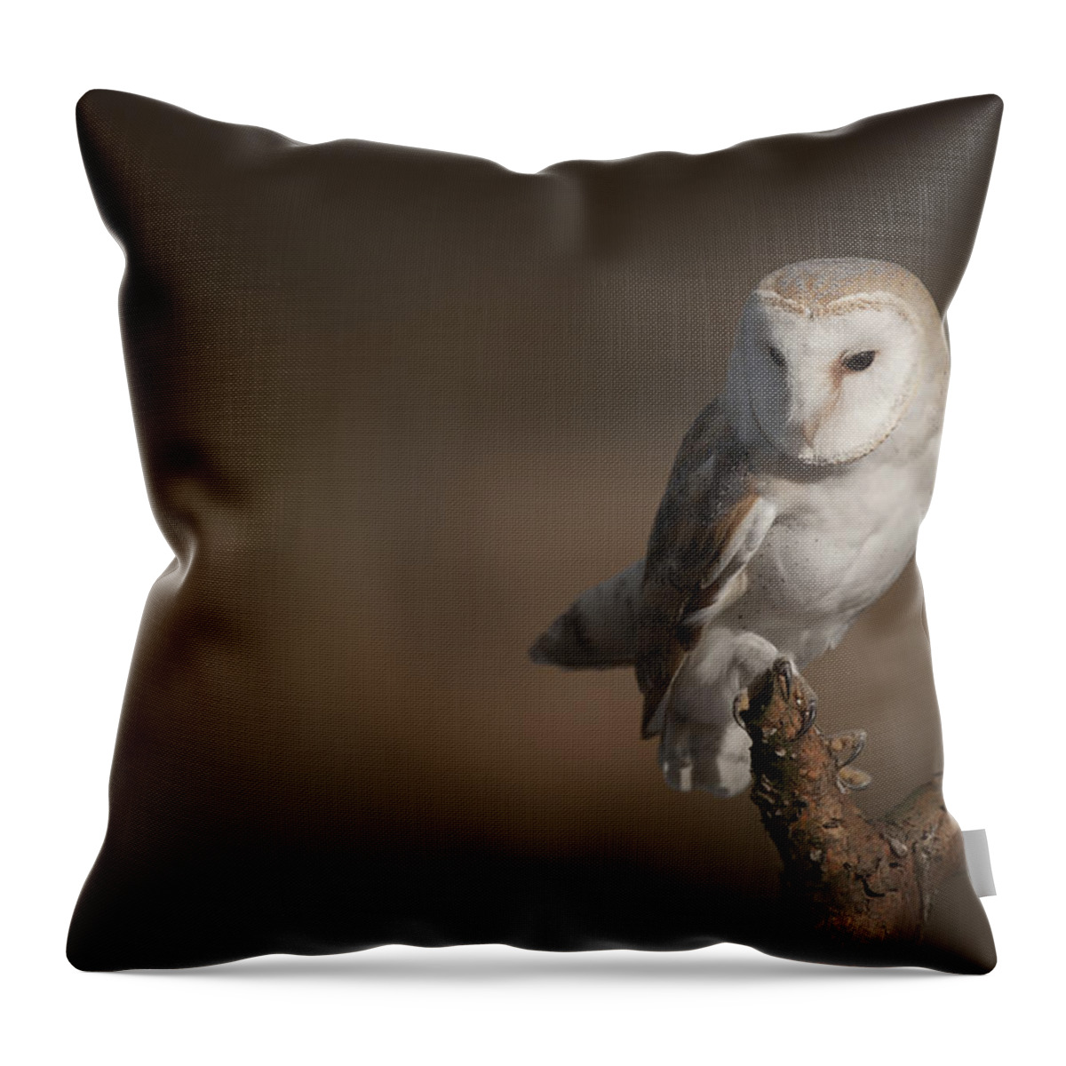 Barn Owl Throw Pillow featuring the photograph Barn Owl #1 by Andy Astbury