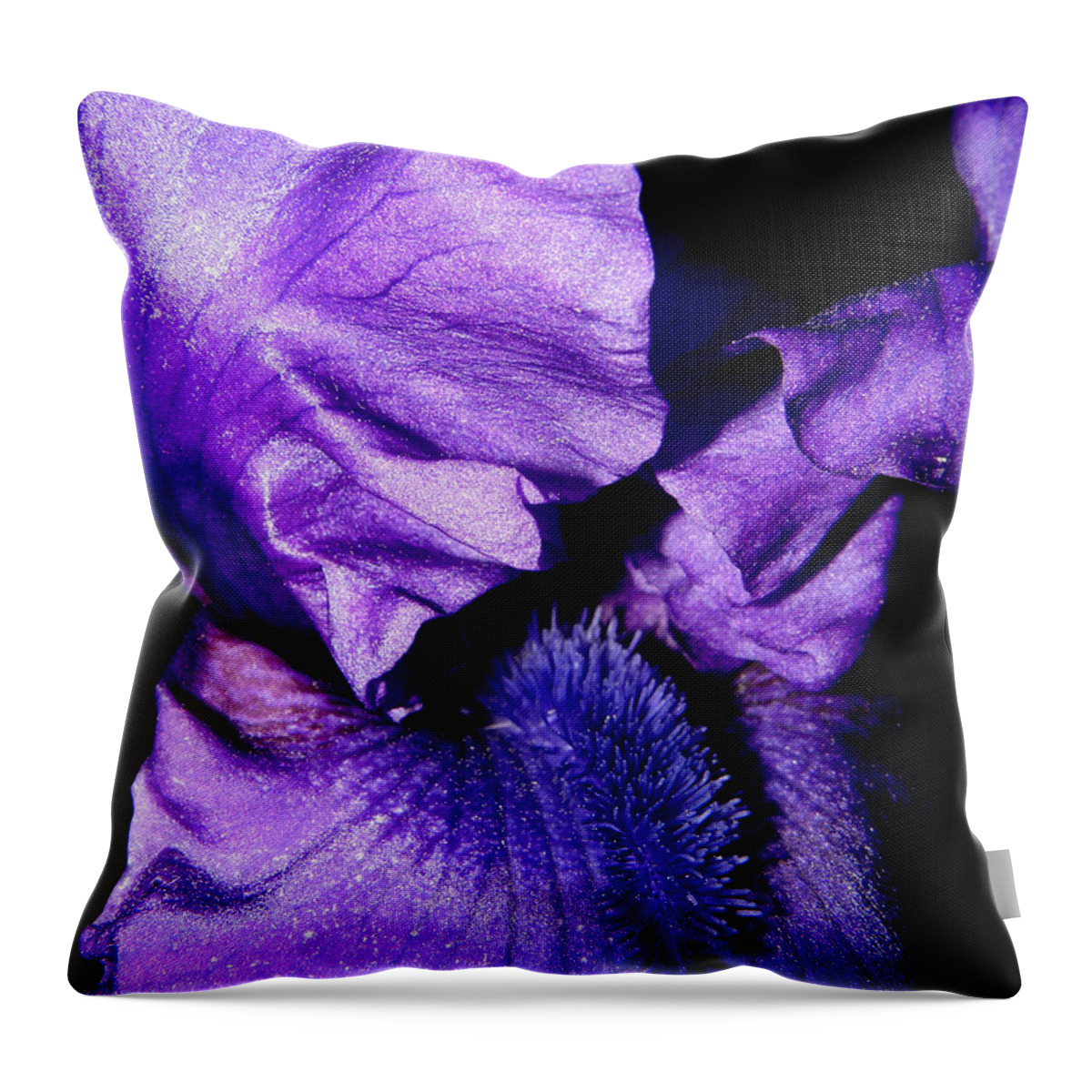 Iris Throw Pillow featuring the photograph Bearded Iris #1 by Kim Galluzzo