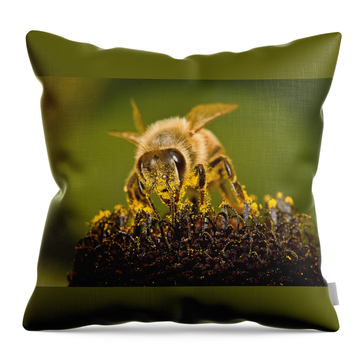 Bee There Throw Pillow featuring the photograph Bee There #2 by Jean Noren