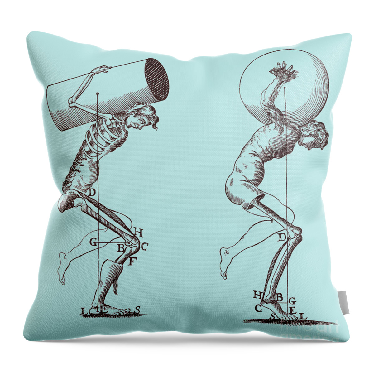 Anatomy Throw Pillow featuring the photograph Biomechanics #1 by Science Source