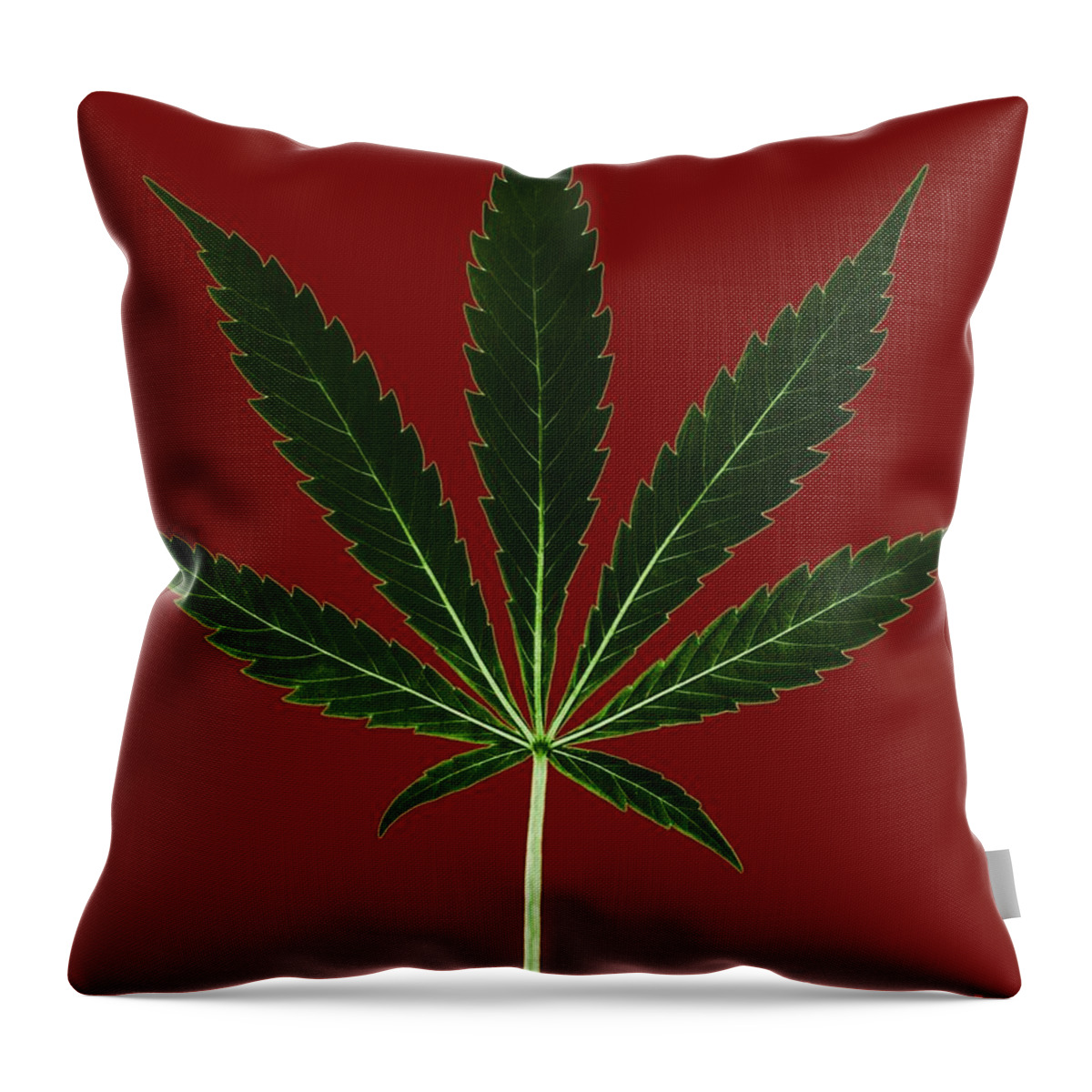 Plant Throw Pillow featuring the photograph Cannabis Sativa, Marijuana Leaf #1 by Science Source