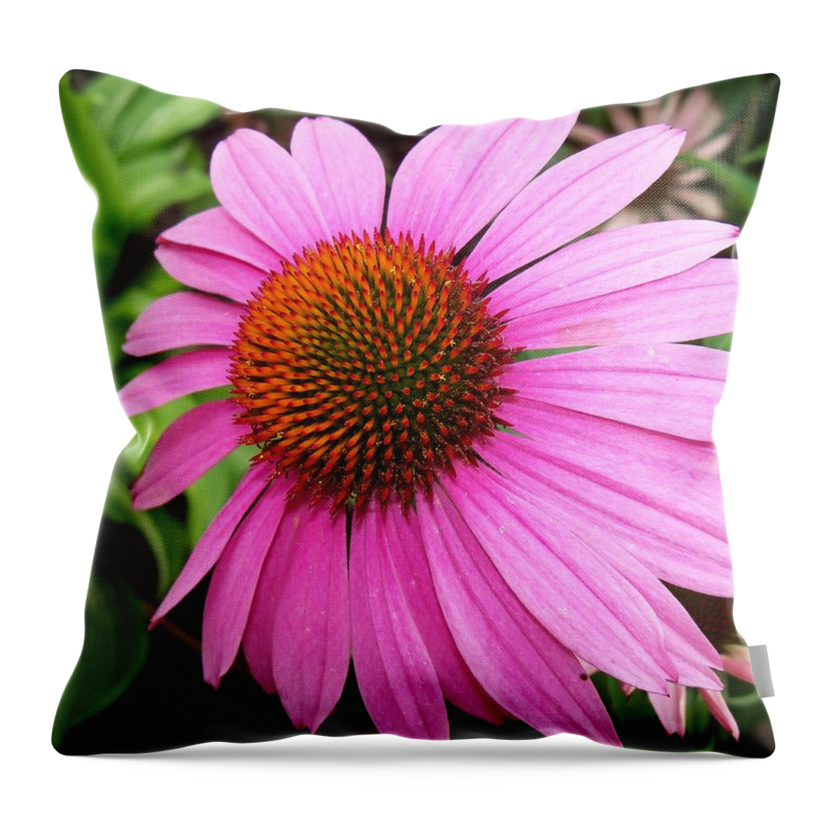 Flower Throw Pillow featuring the photograph Cone Flower #1 by Corinne Elizabeth Cowherd