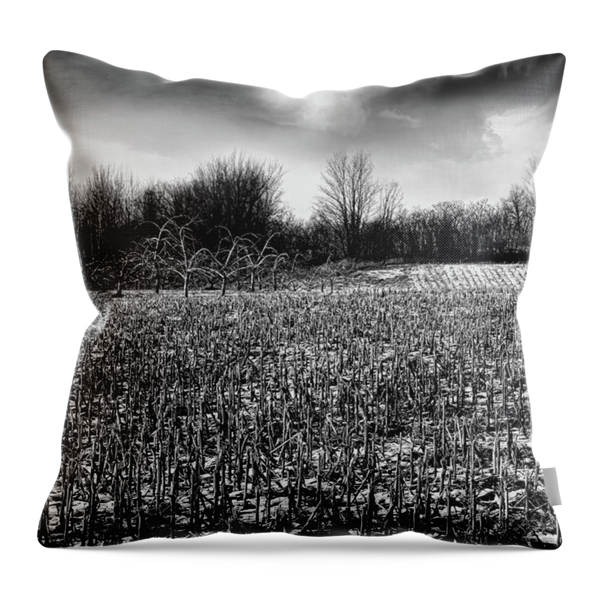 Alone Throw Pillow featuring the photograph Crop field in early winter after first snow #1 by Sandra Cunningham