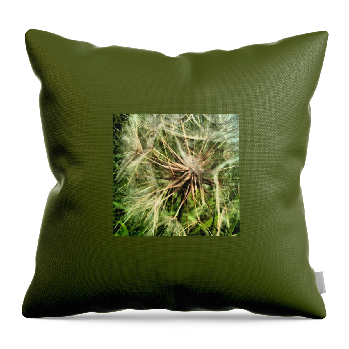 Dandelion Throw Pillow featuring the photograph Dandelion #1 by Vicki Field