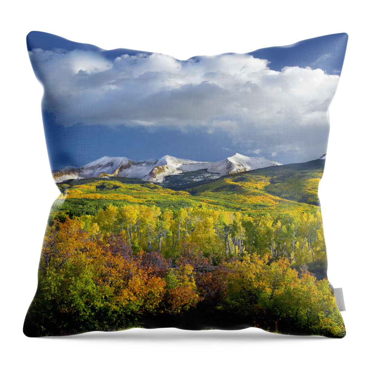 00175174 Throw Pillow featuring the photograph East Beckwith Mountain Flanked By Fall #1 by Tim Fitzharris