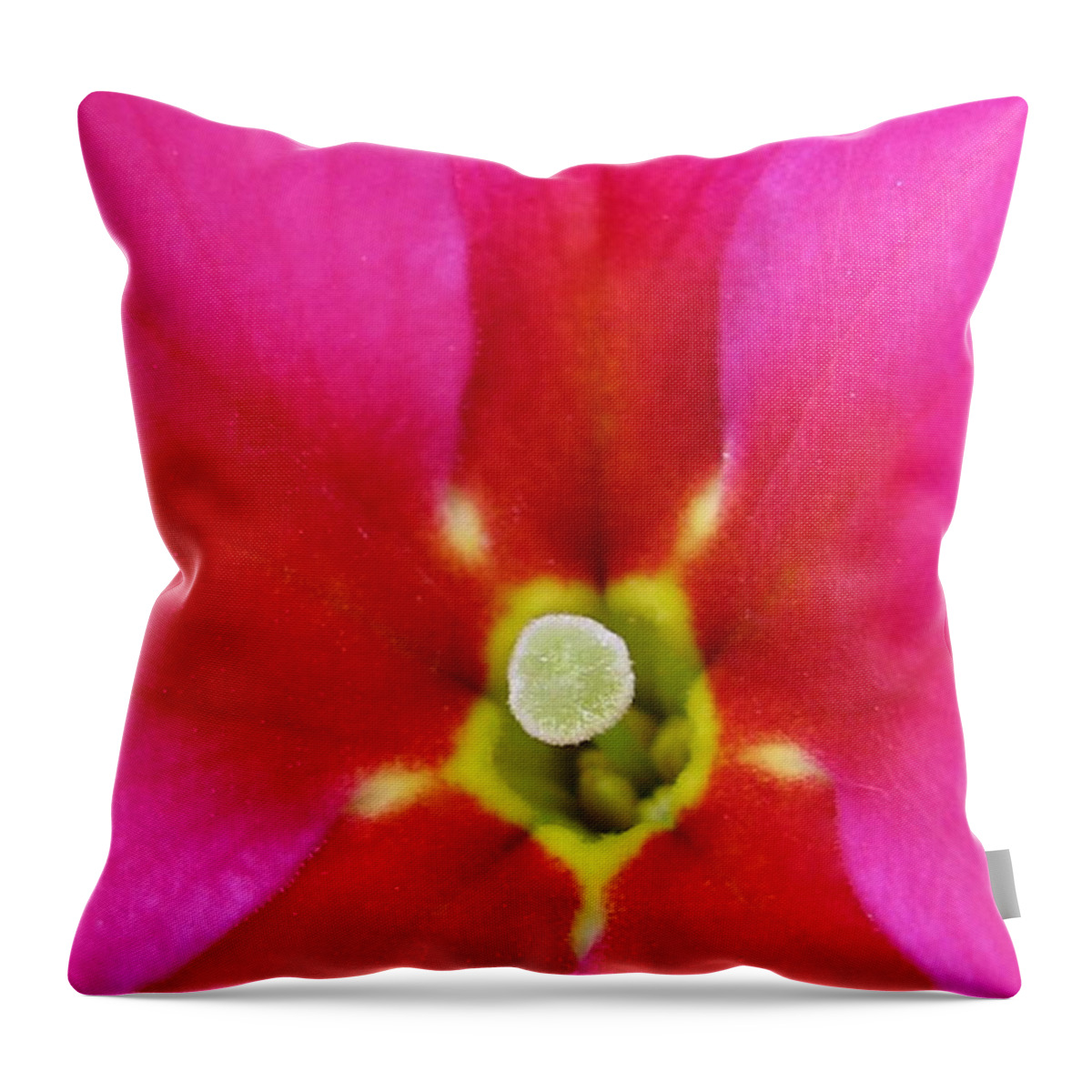 Flower Throw Pillow featuring the photograph Excited #1 by Holy Hands