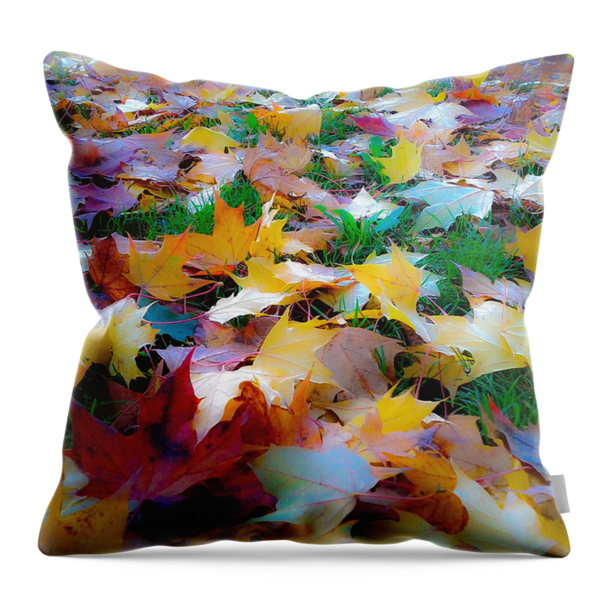 Fall Throw Pillow featuring the photograph Fall Leaves #3 by Steve McKinzie