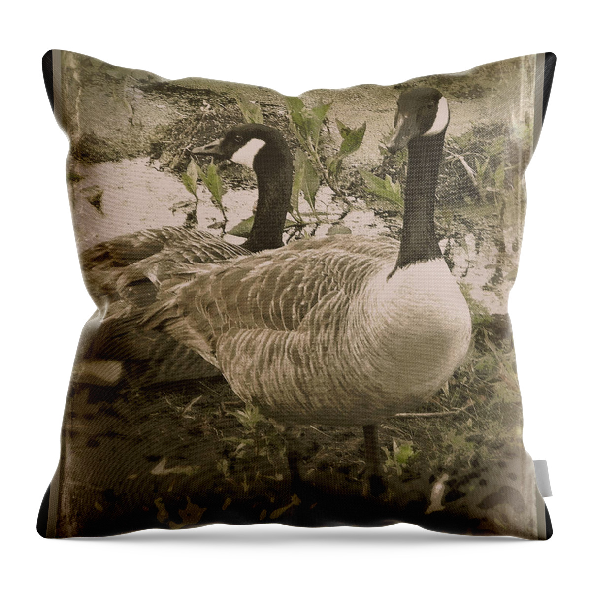 Geese Throw Pillow featuring the photograph Geese by Leslie Revels