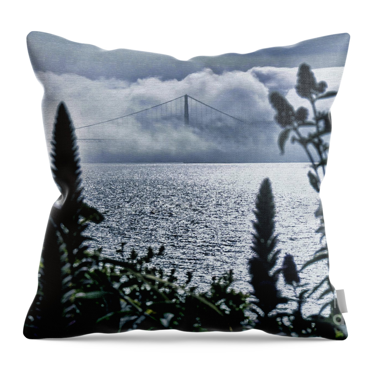 Nature Throw Pillow featuring the photograph Golden Gate Bridge - 1 by Mark Madere