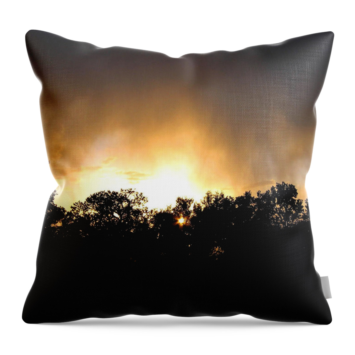 Grand Canyon Throw Pillow featuring the photograph Grand Canyon 10 #1 by Will Borden