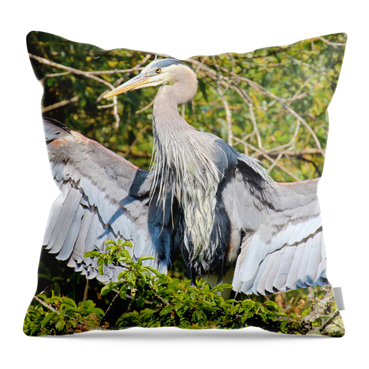 Animal Throw Pillow featuring the photograph Great Blue Heron #1 by Paul Fell